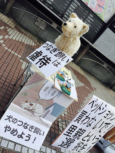 15年6月28日 29日 渋谷で犬猫問題の啓発デモ アニマルライツセンター