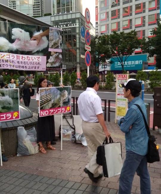 渋谷でアンゴラ反対アクション アニマルライツセンター