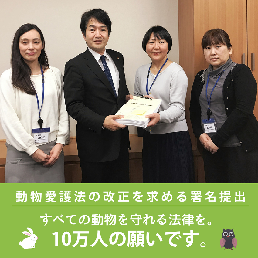 動物愛護法の改正を求める請願署名10万名分をつぎつぎ提出中