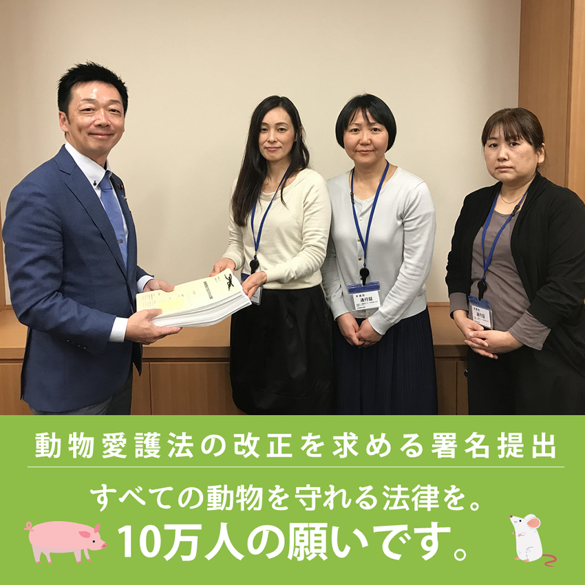 動物愛護法の改正を求める請願署名10万名分をつぎつぎ提出中