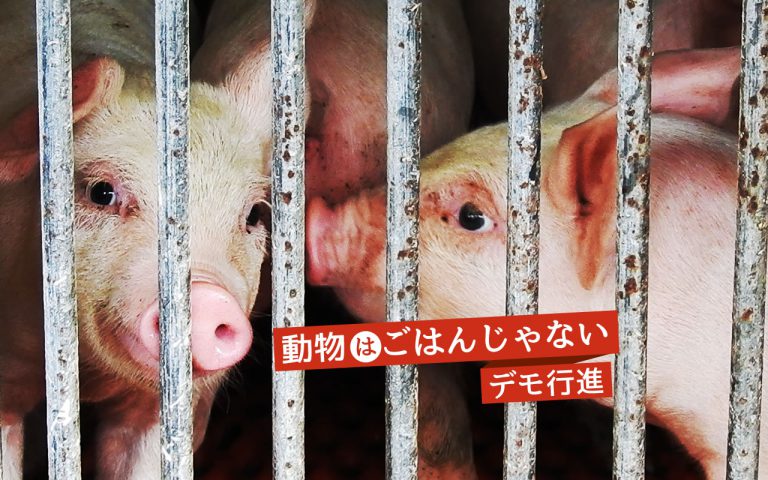 動物はごはんじゃない