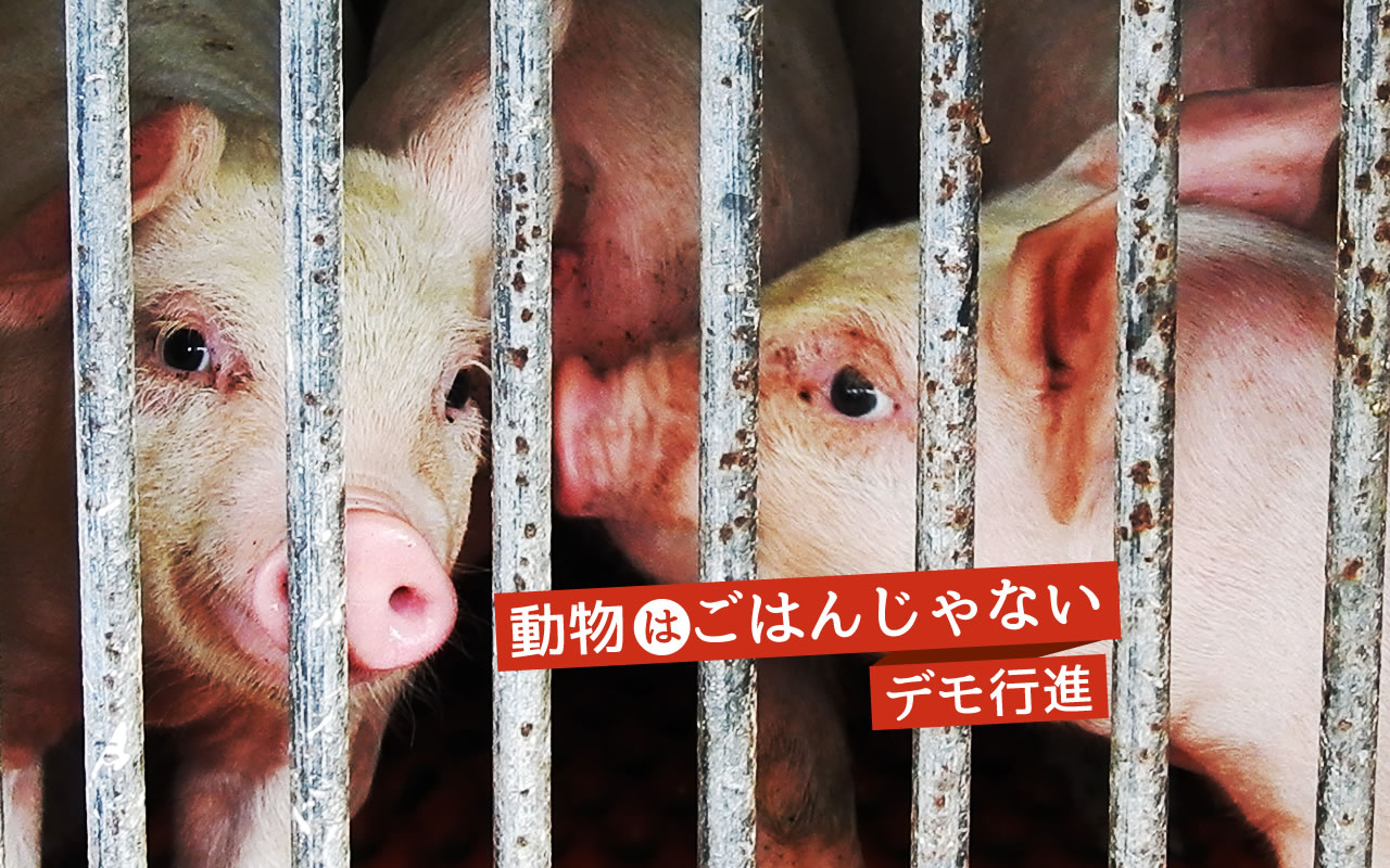 動物はごはんじゃない