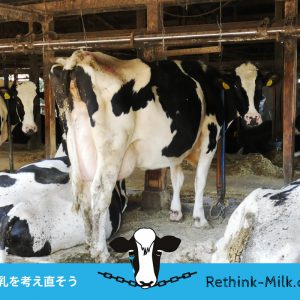 牛乳を考え直そう