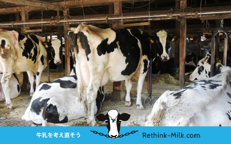 牛乳を考え直そう