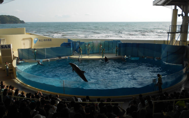 Wide sea, narrow pool