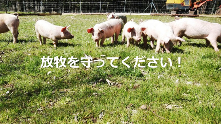 放牧を守って