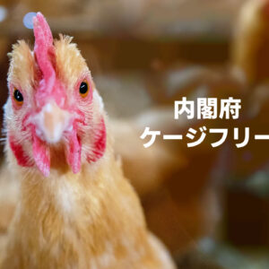 内閣府、ケージフリー！