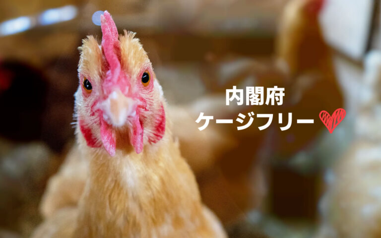 内閣府、ケージフリー!
