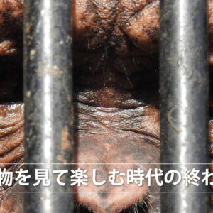 動物を見て楽しみ時代の終わり