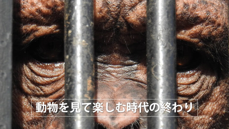 動物を見て楽しみ時代の終わり