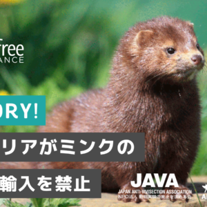 Good news! ブルガリア、ミンクの飼育と輸入を禁止！
