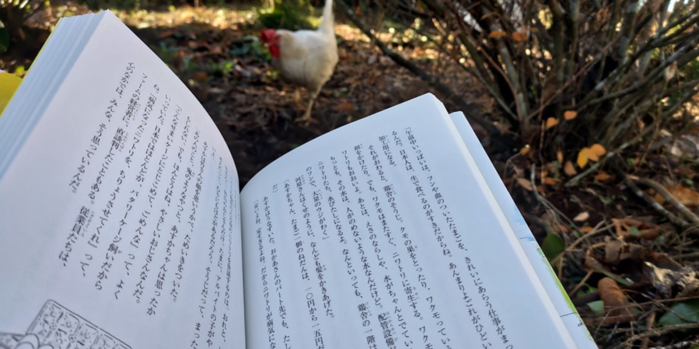 いつか空の下で　鶏
