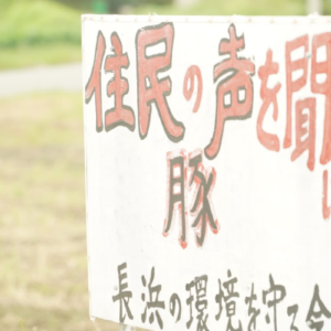養豚による環境被害