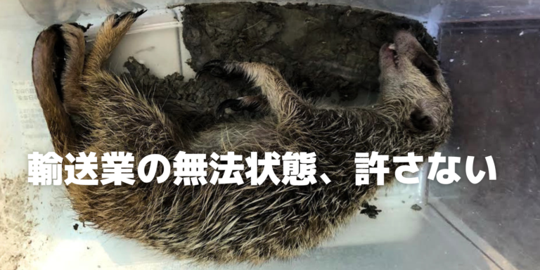 日本には動物を輸送するときの法律がない 法律がなければ企業はやりたい放題 輸送業の無法状態、許さない