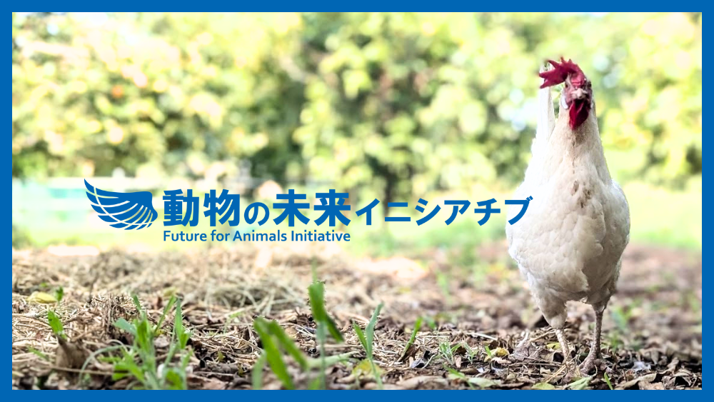 動物の未来イニシアチブ