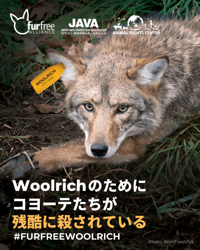 Woolrich